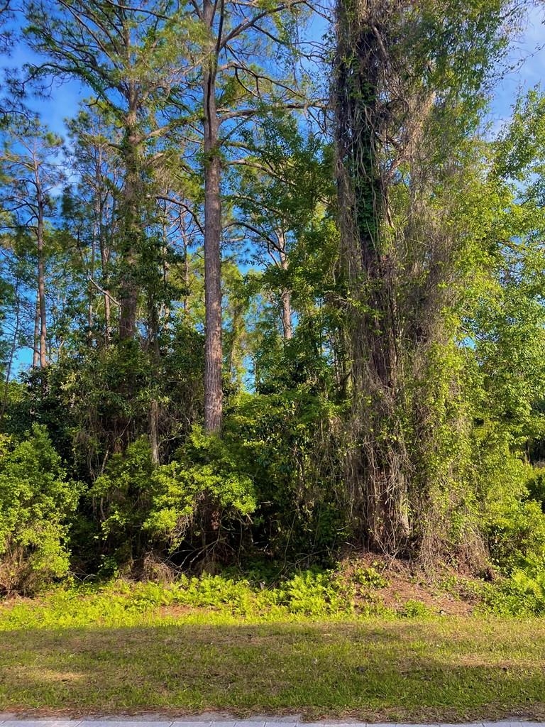 2500 Pinewood Avenue, Lanark Village, Florida image 11