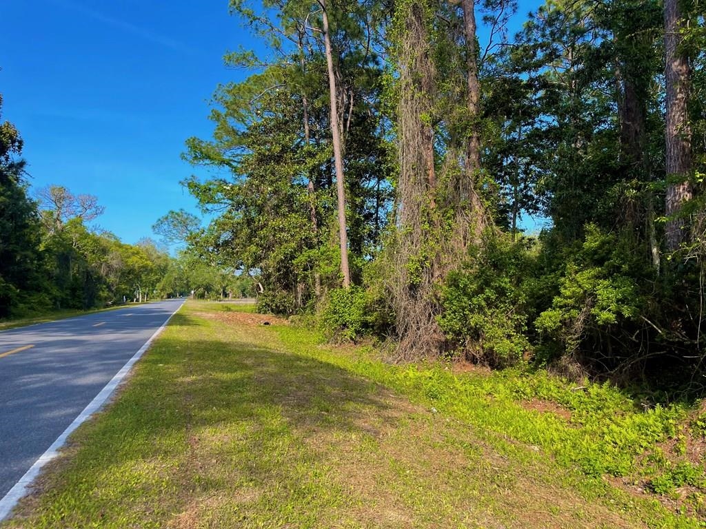 2500 Pinewood Avenue, Lanark Village, Florida image 3