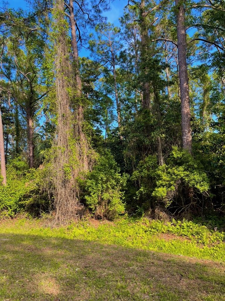 2500 Pinewood Avenue, Lanark Village, Florida image 7