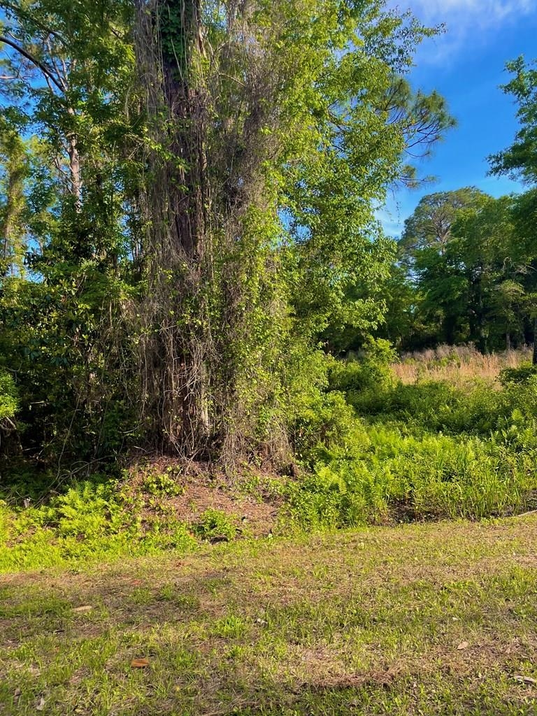 2500 Pinewood Avenue, Lanark Village, Florida image 9