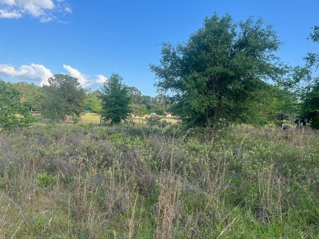 261 NW Honeybee Way, Greenville, Florida image 18