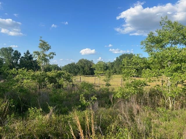 261 NW Honeybee Way, Greenville, Florida image 20