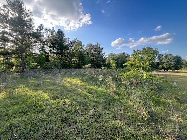 261 NW Honeybee Way, Greenville, Florida image 22