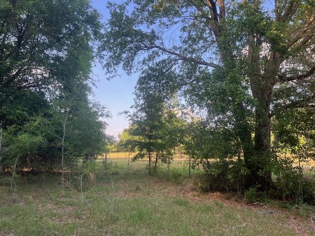 261 NW Honeybee Way, Greenville, Florida image 24