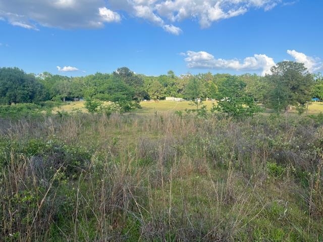 261 NW Honeybee Way, Greenville, Florida image 3