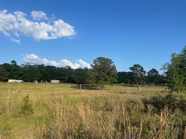 261 NW Honeybee Way, Greenville, Florida image 4