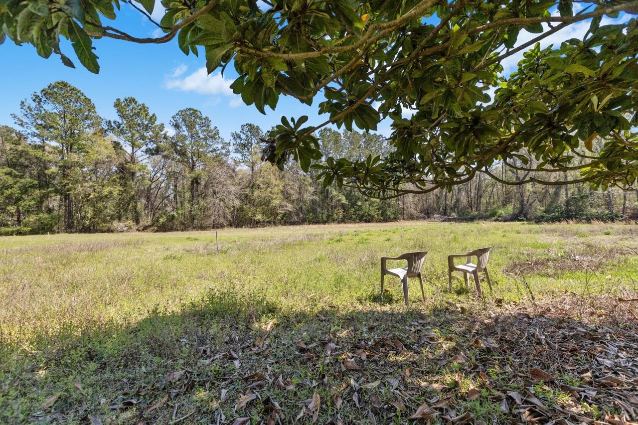 2436 N Jefferson, Monticello, Florida image 30