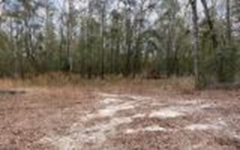 5206 SW 57th Court, Jasper, Florida image 3