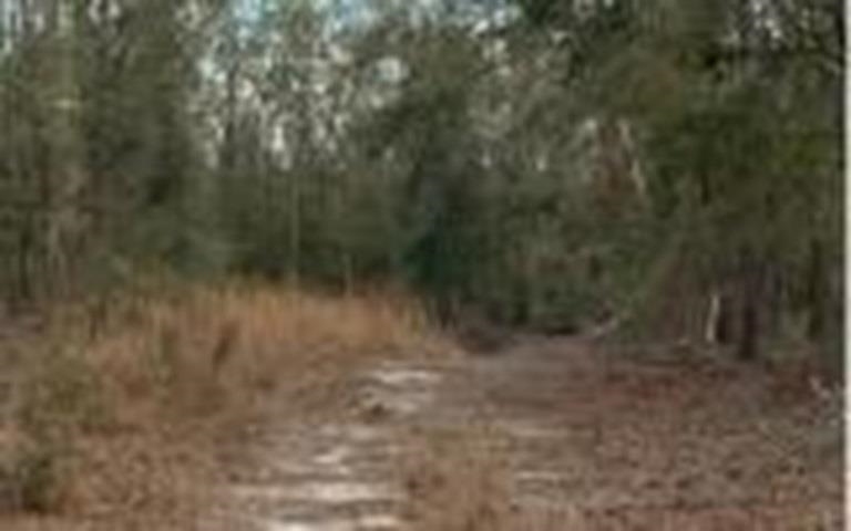 5206 SW 57th Court, Jasper, Florida image 4