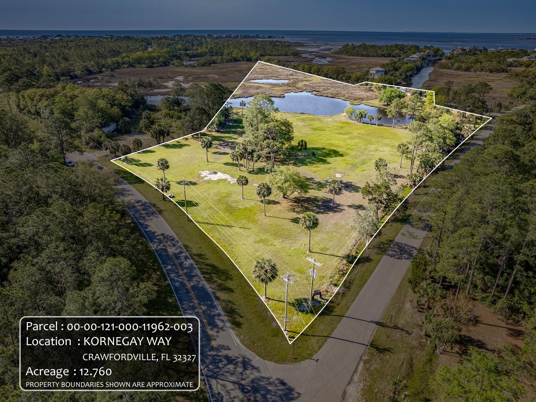 XX Kornegay Way, Crawfordville, Florida image 1