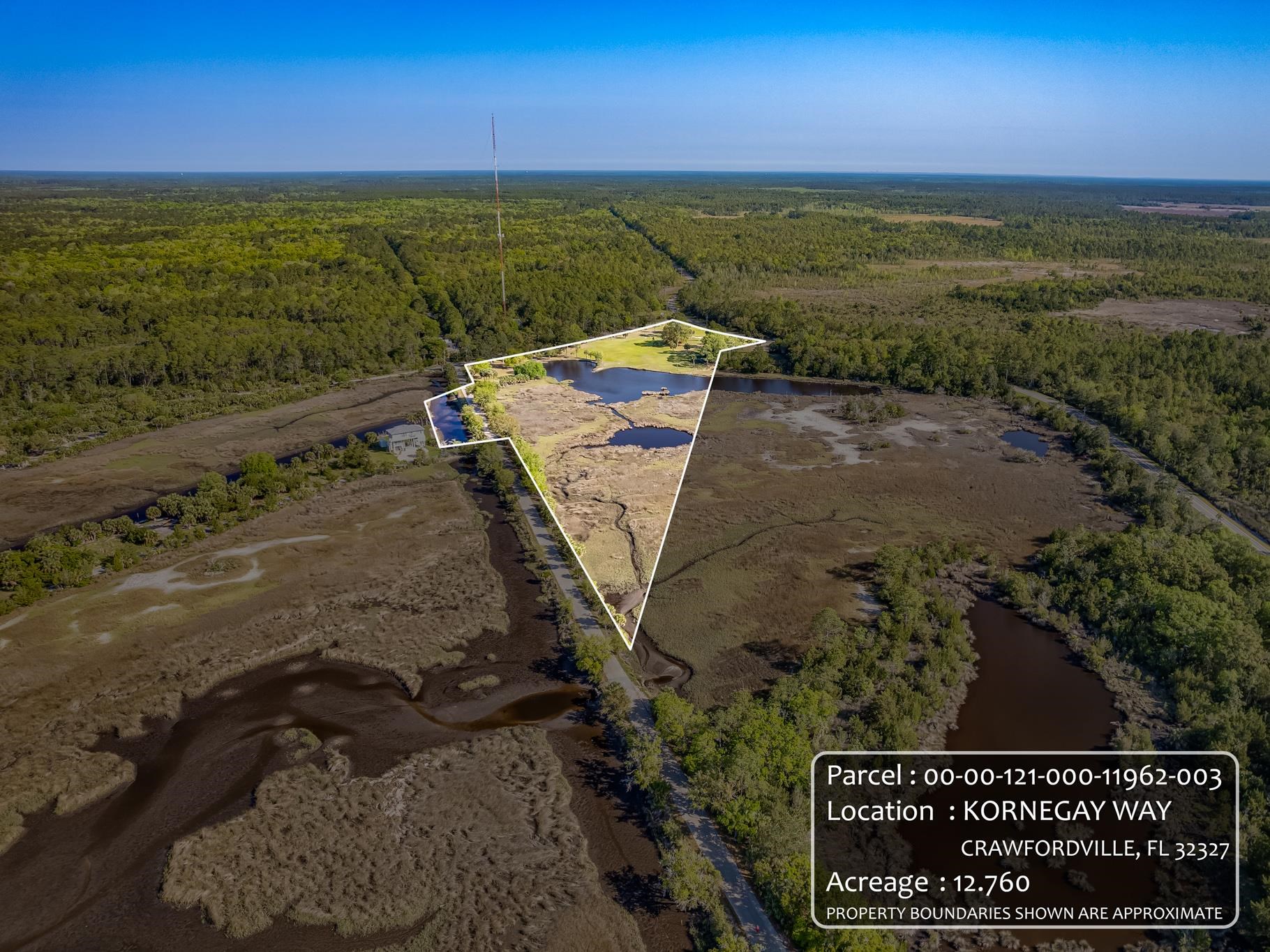 XX Kornegay Way, Crawfordville, Florida image 9