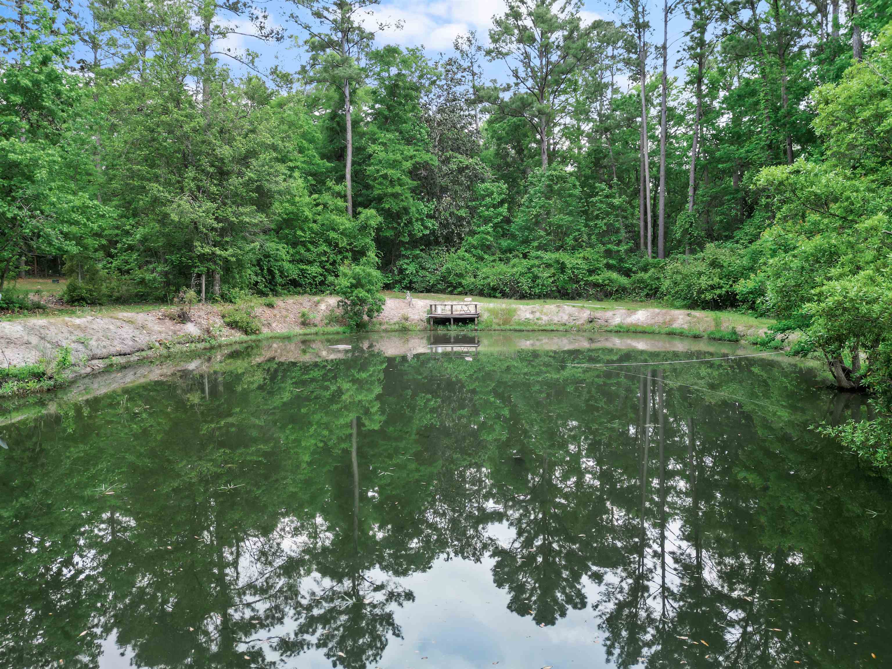15766 NE Bob Sanders Road, Hosford, Florida image 33