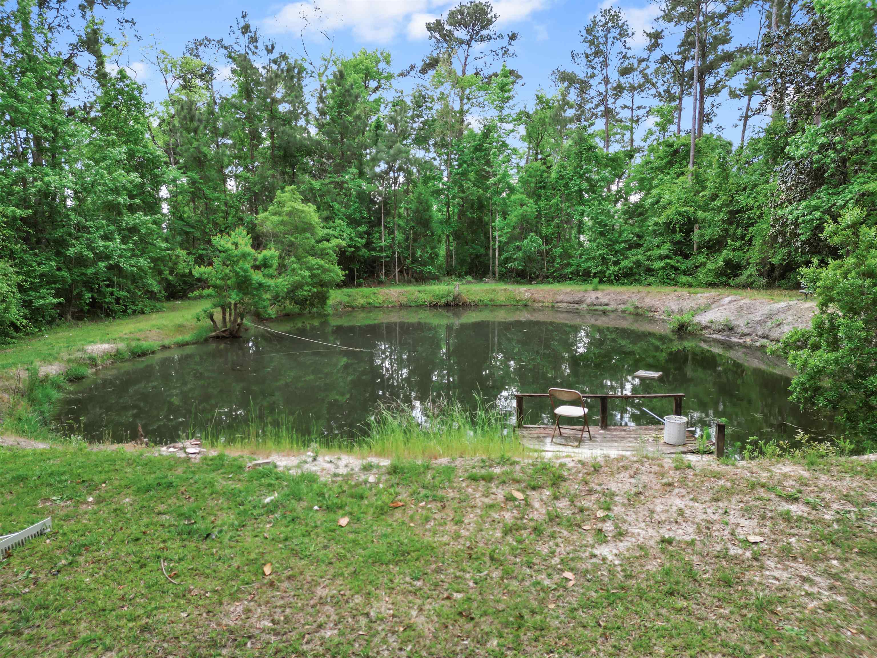 15766 NE Bob Sanders Road, Hosford, Florida image 4