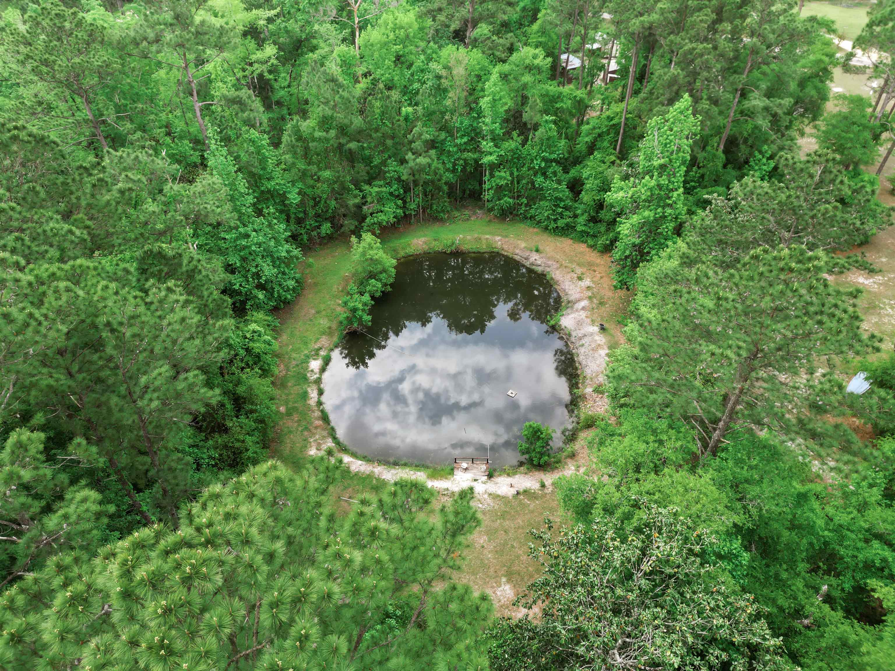 15766 NE Bob Sanders Road, Hosford, Florida image 5
