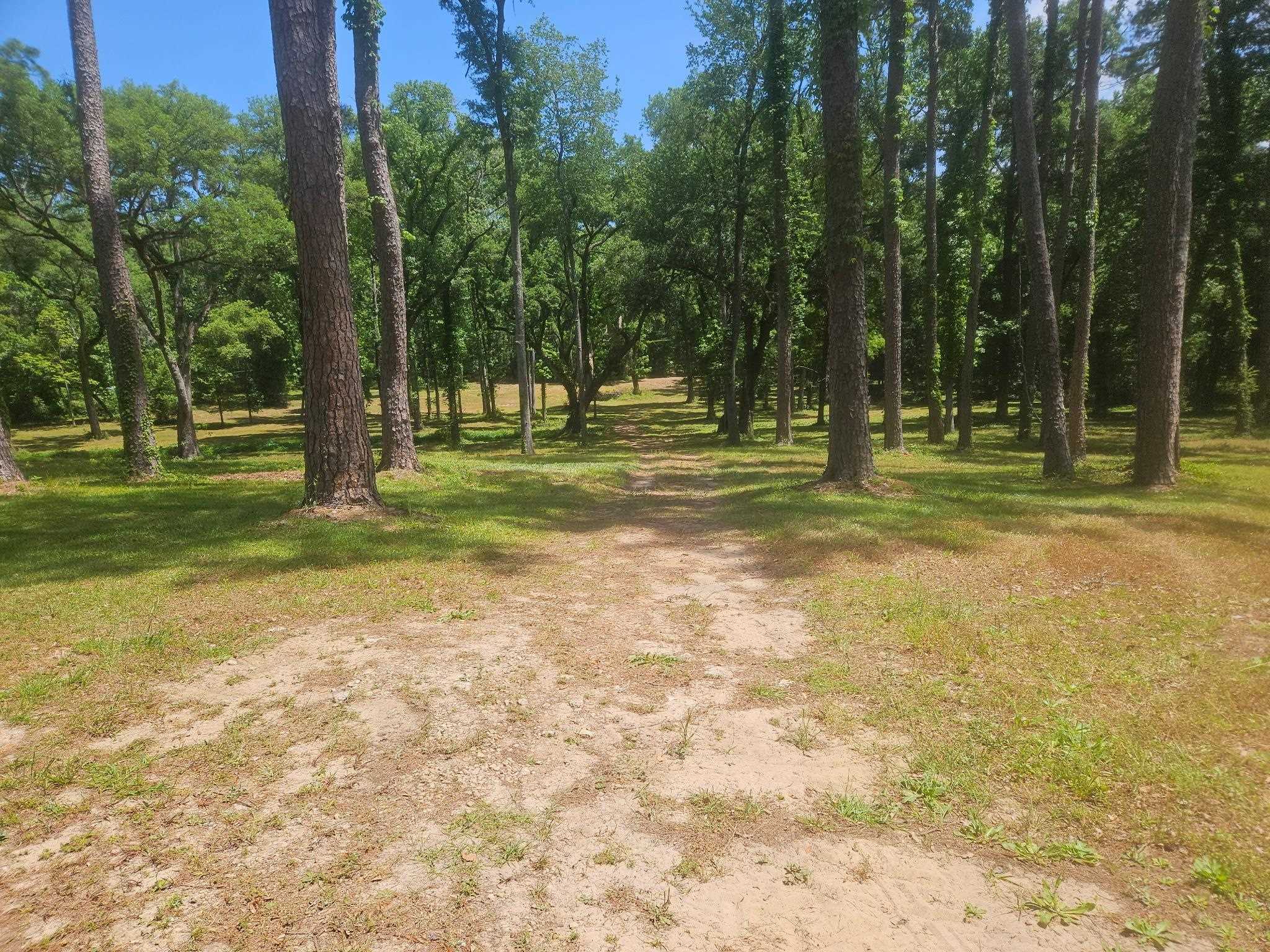 Seabiscuit Trail, Tallahassee, Texas image 2