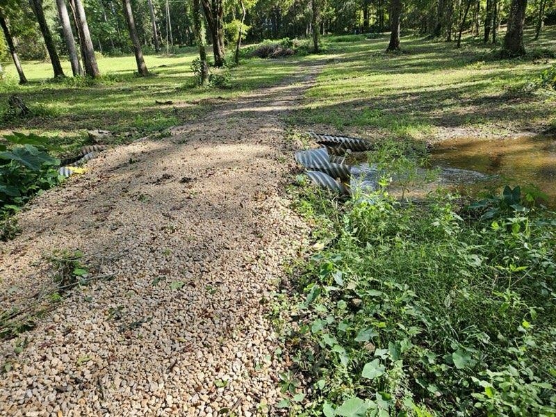 Seabiscuit Trail, Tallahassee, Texas image 3