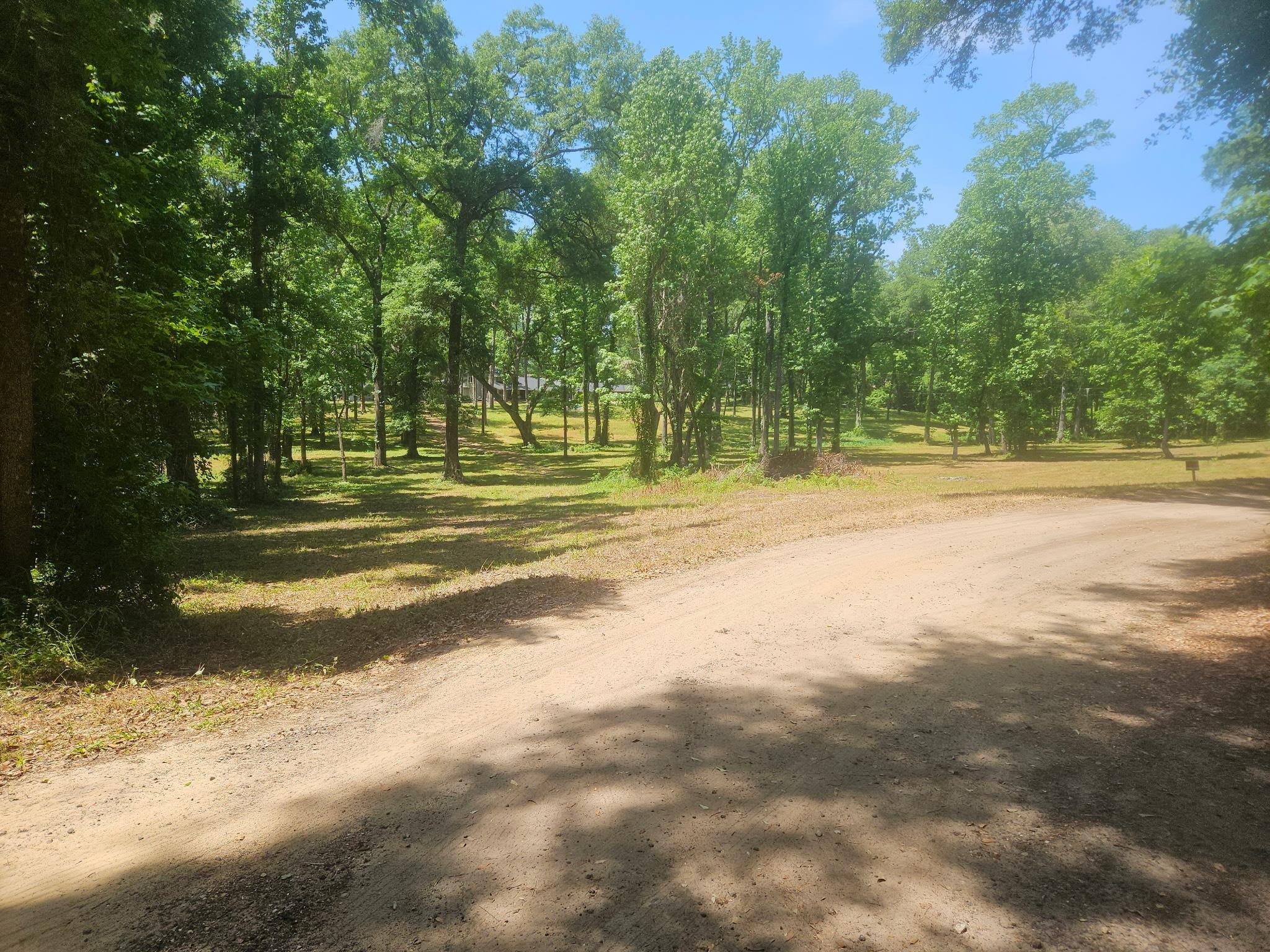Seabiscuit Trail, Tallahassee, Texas image 5