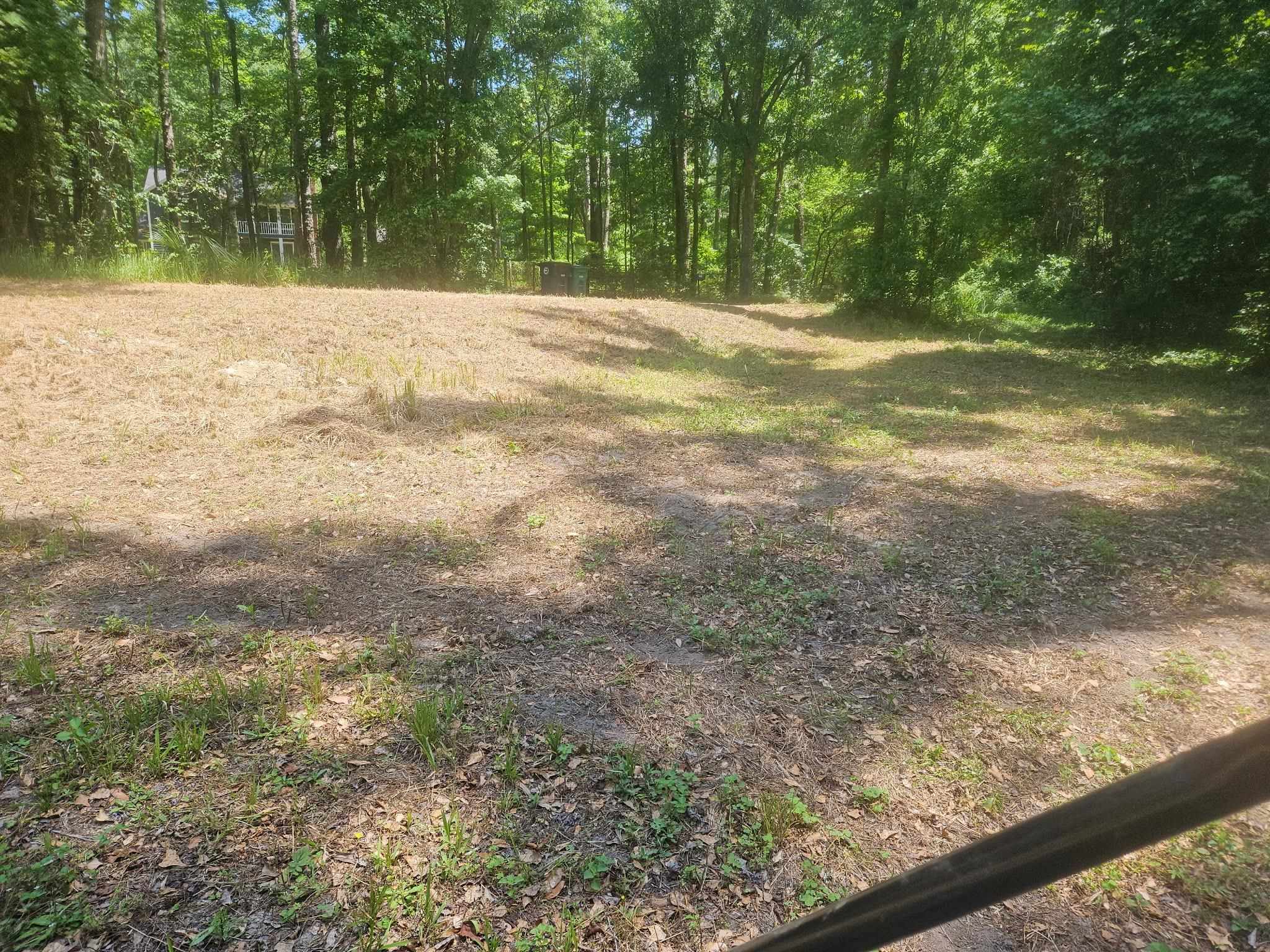Seabiscuit Trail, Tallahassee, Texas image 6