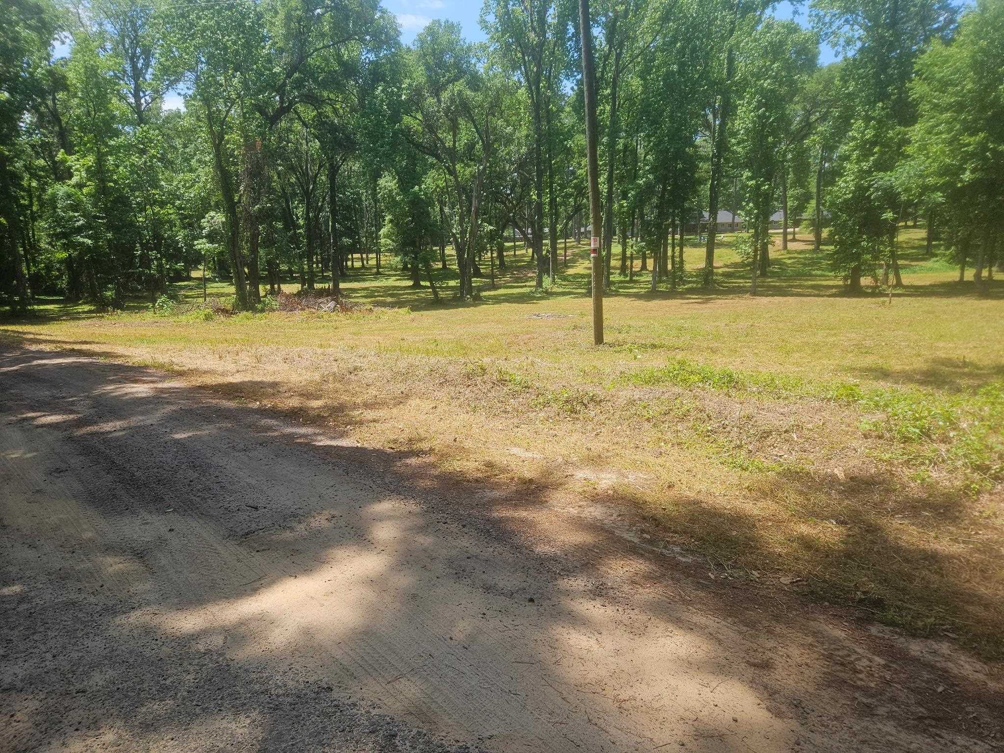 Seabiscuit Trail, Tallahassee, Texas image 9