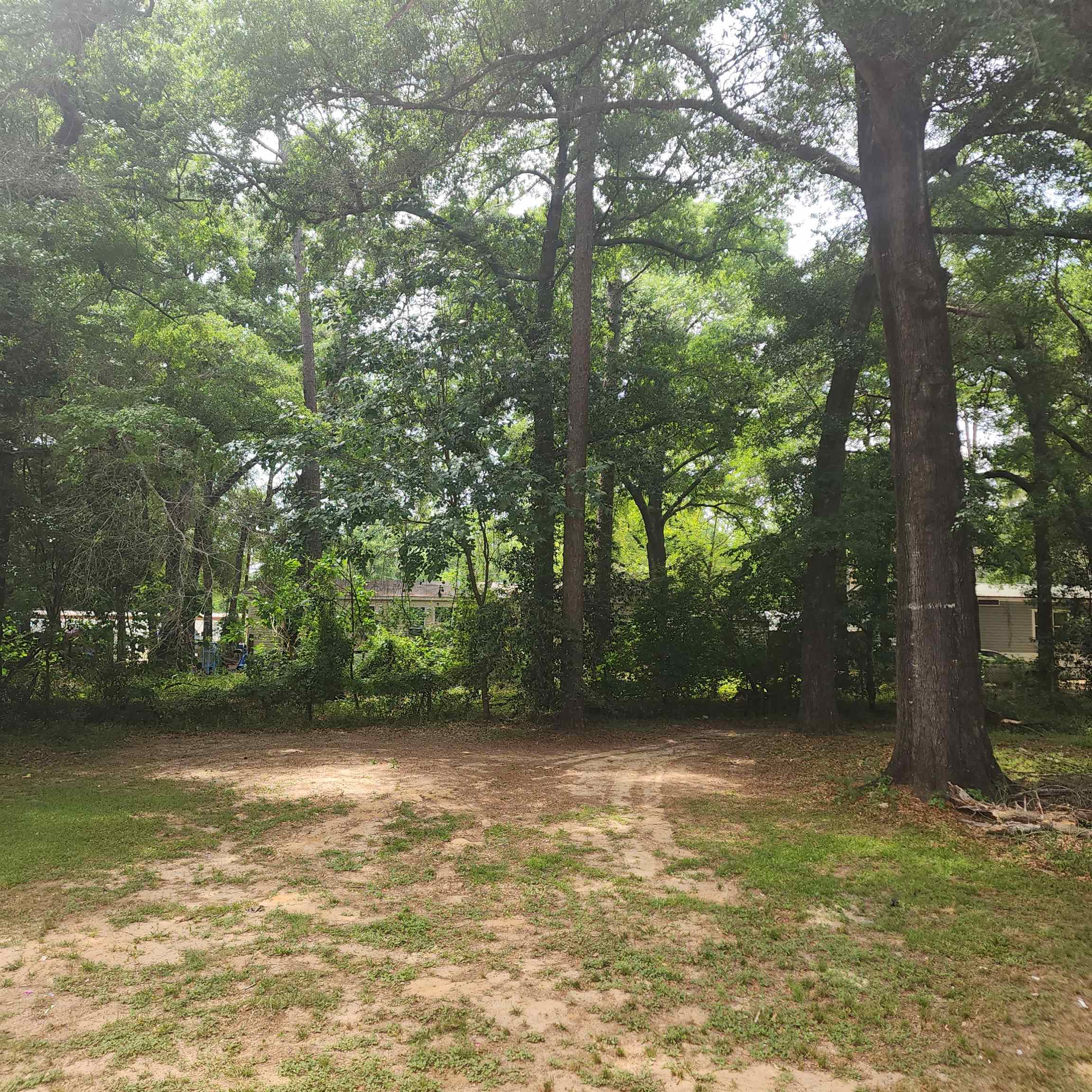 4040 Buster Road, Tallahassee, Texas image 24
