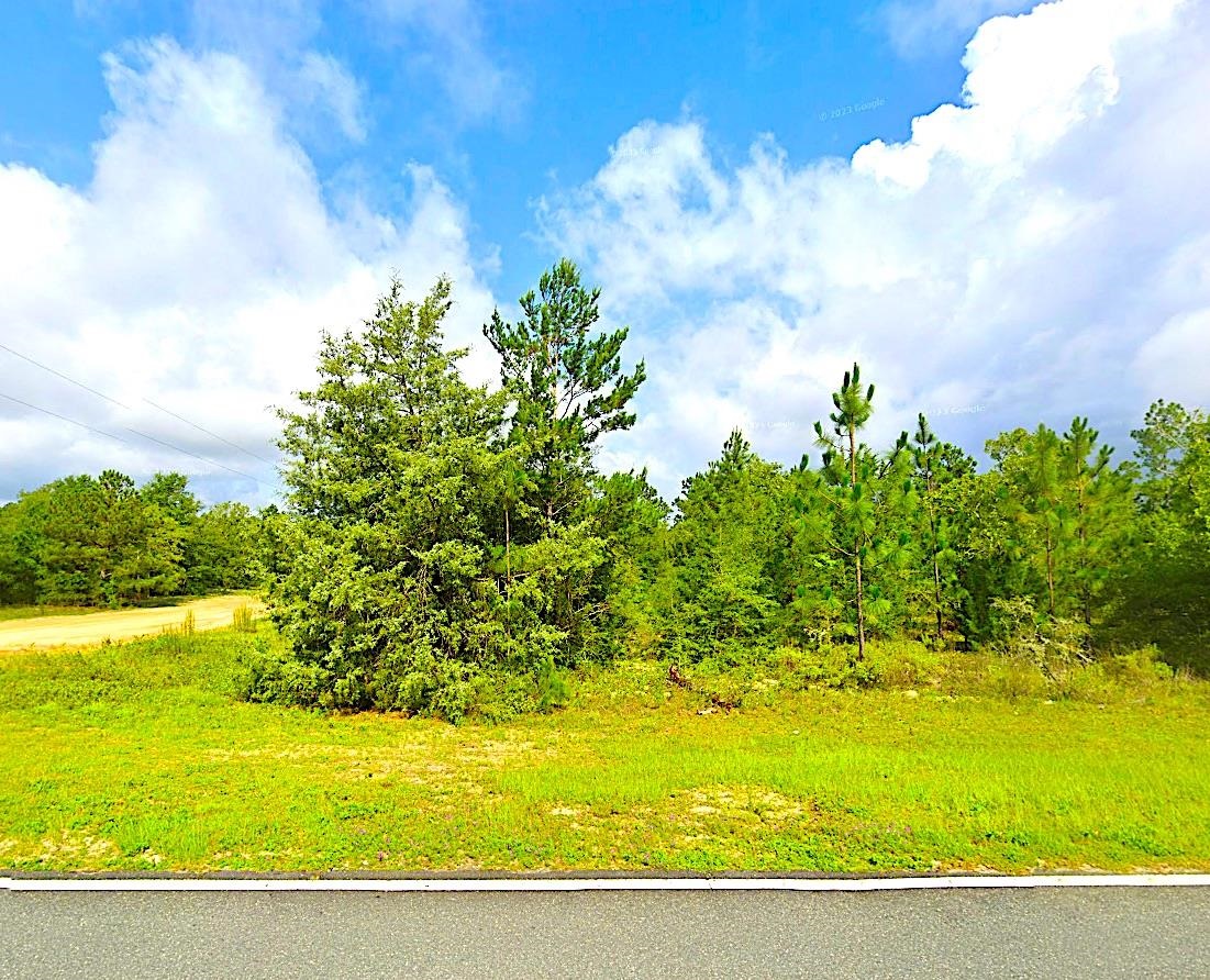 00 Fairview Road, Alford, Texas image 1
