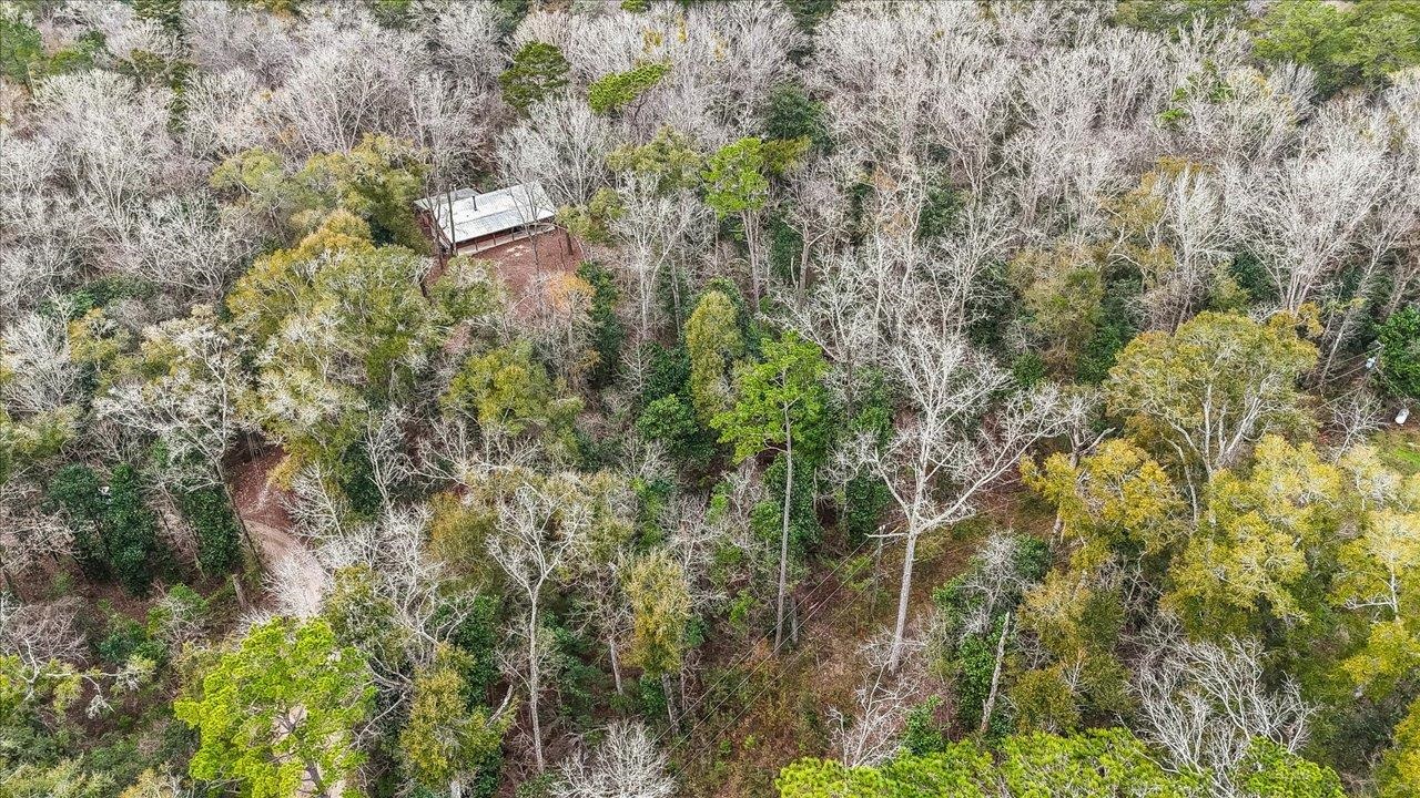 220 Deer Pass, Havana, Texas image 38