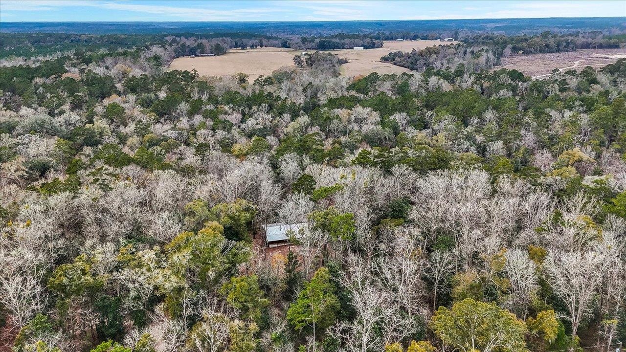 220 Deer Pass, Havana, Texas image 39