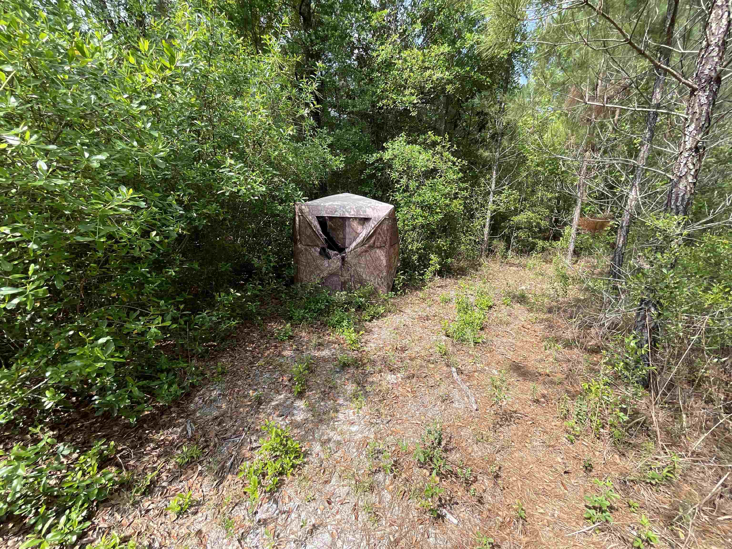 Vacant Old Federal Road, Quincy, Florida image 16