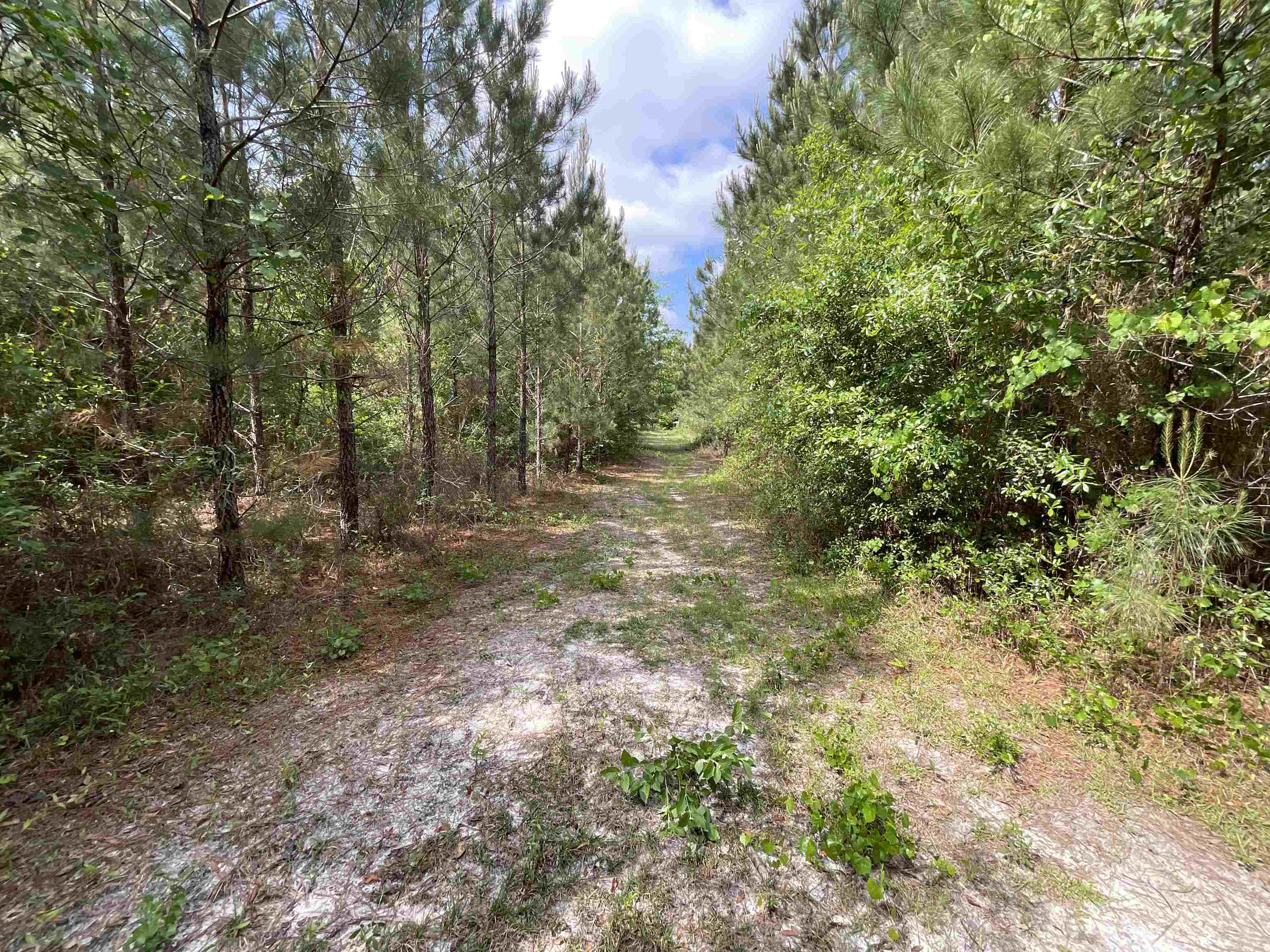 Vacant Old Federal Road, Quincy, Florida image 25