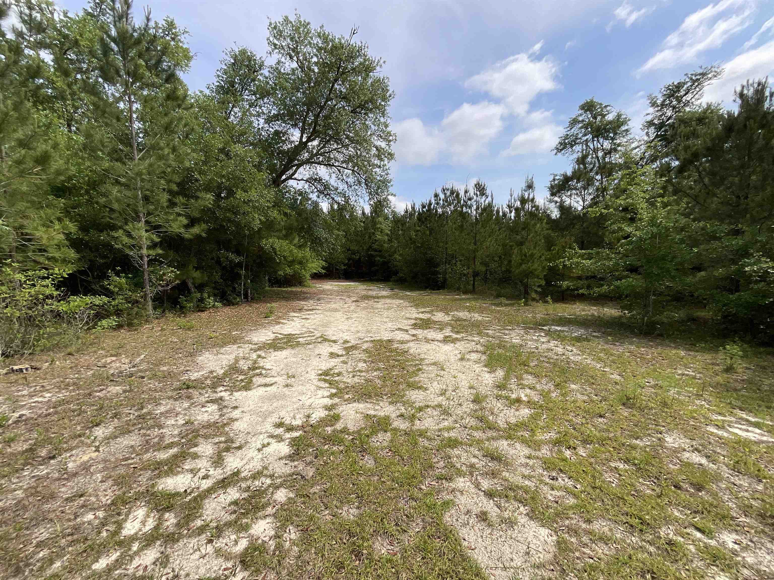 Vacant Old Federal Road, Quincy, Florida image 29