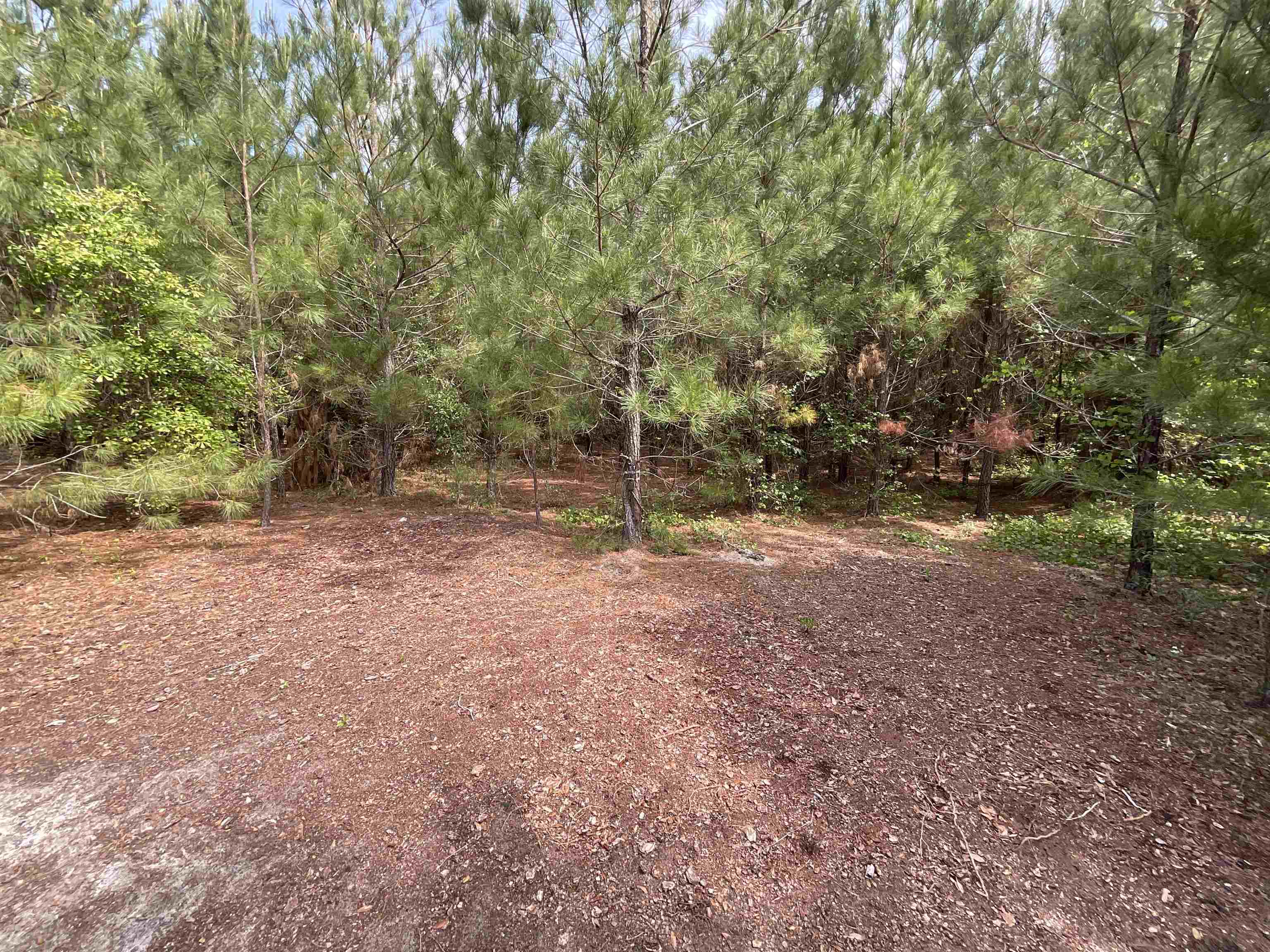 Vacant Old Federal Road, Quincy, Florida image 36