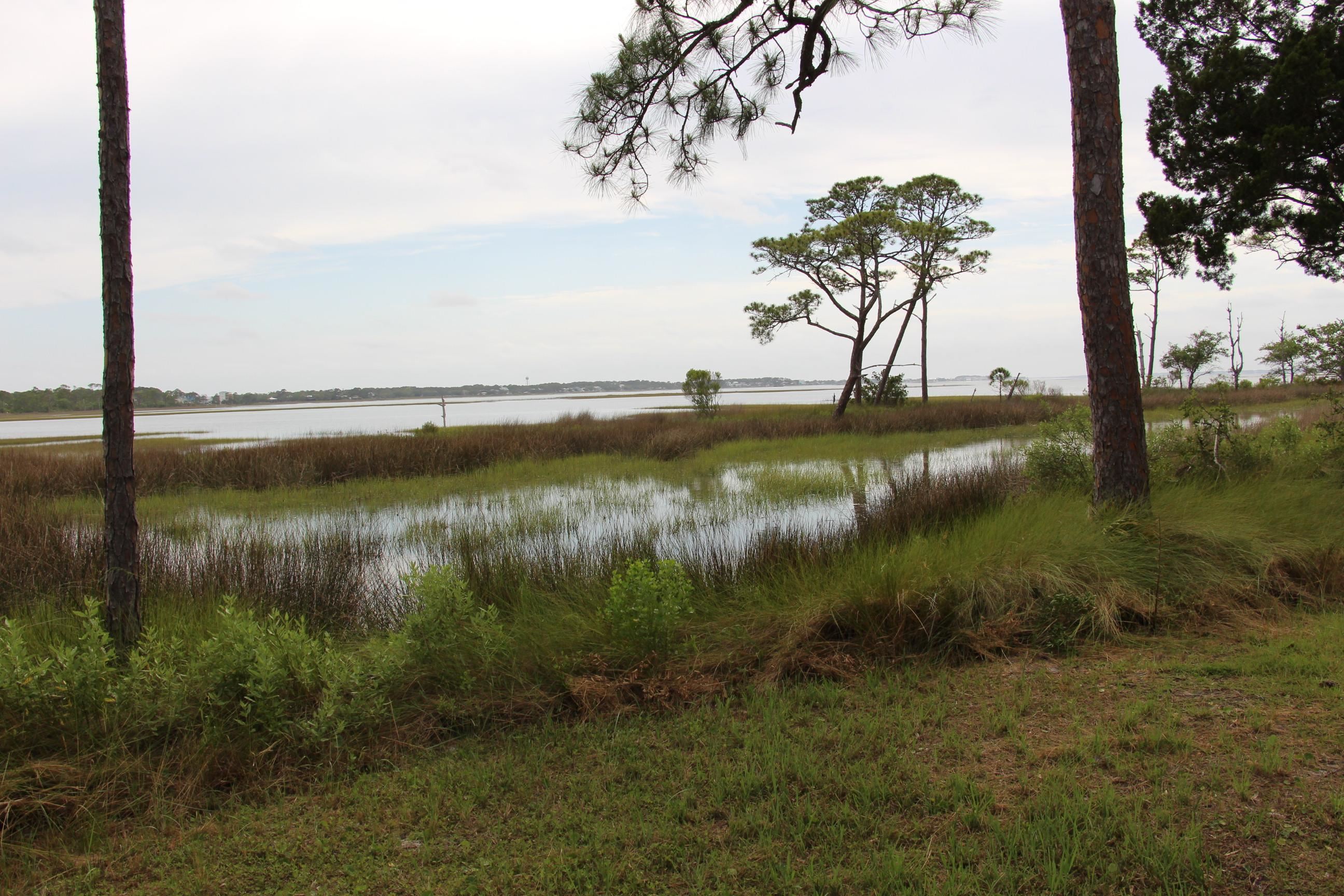794 Alliagtor Drive, Alligator Point, Texas image 1