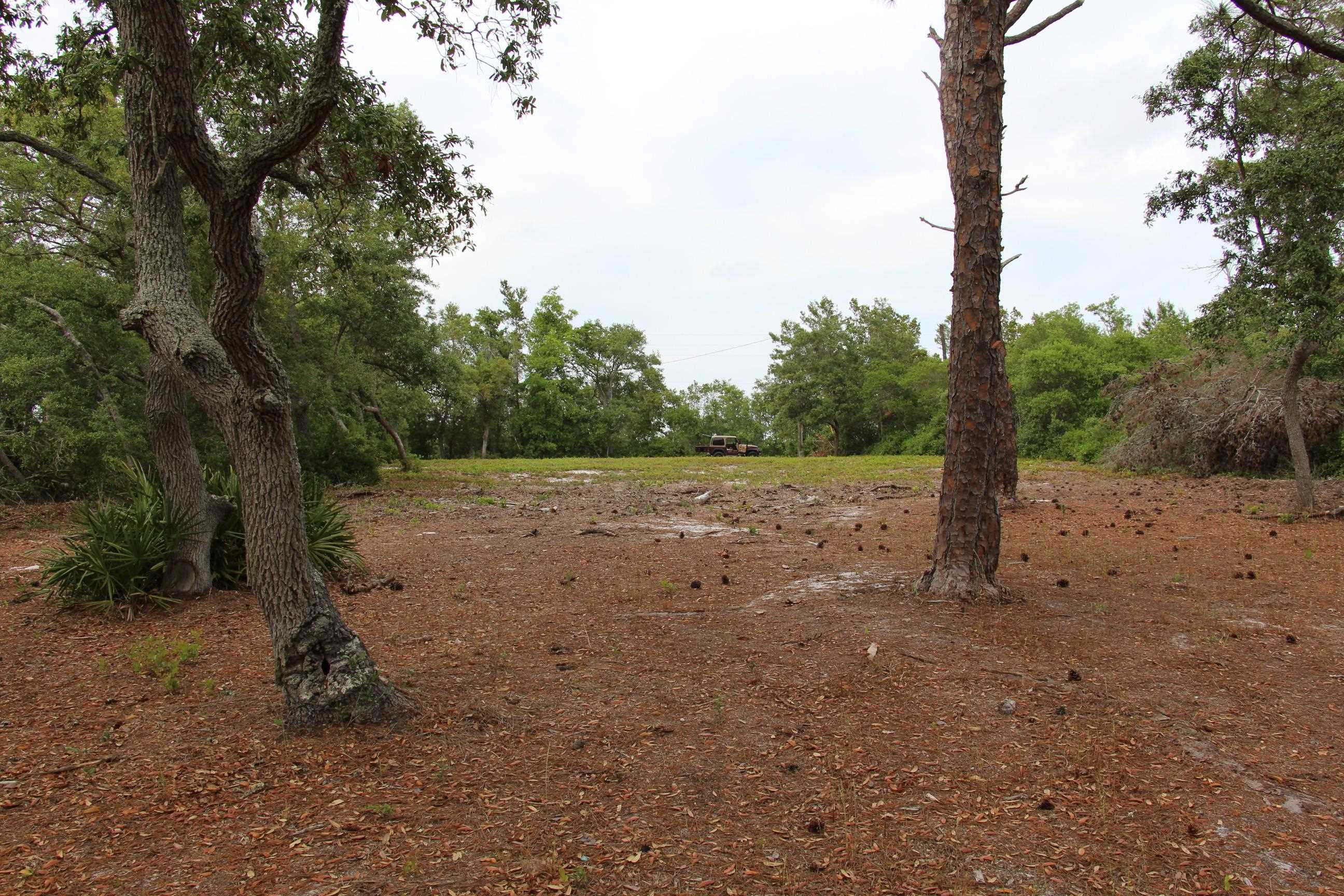 794 Alliagtor Drive, Alligator Point, Texas image 10