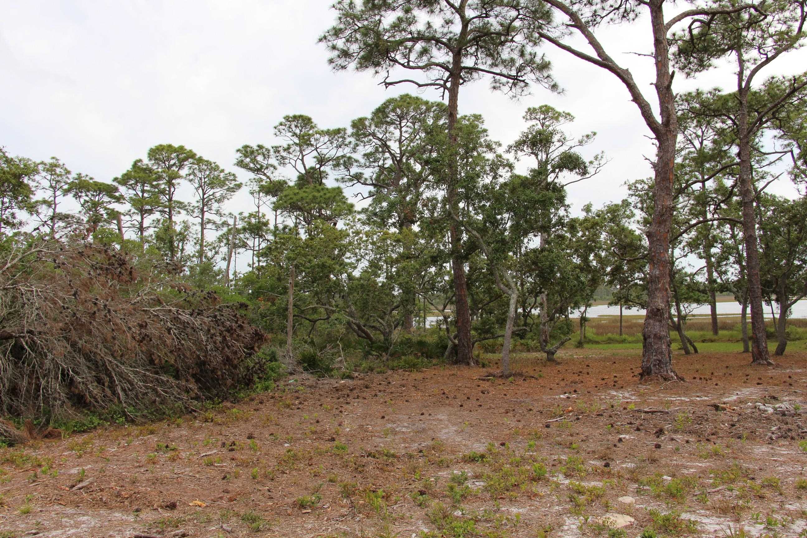 794 Alliagtor Drive, Alligator Point, Texas image 12