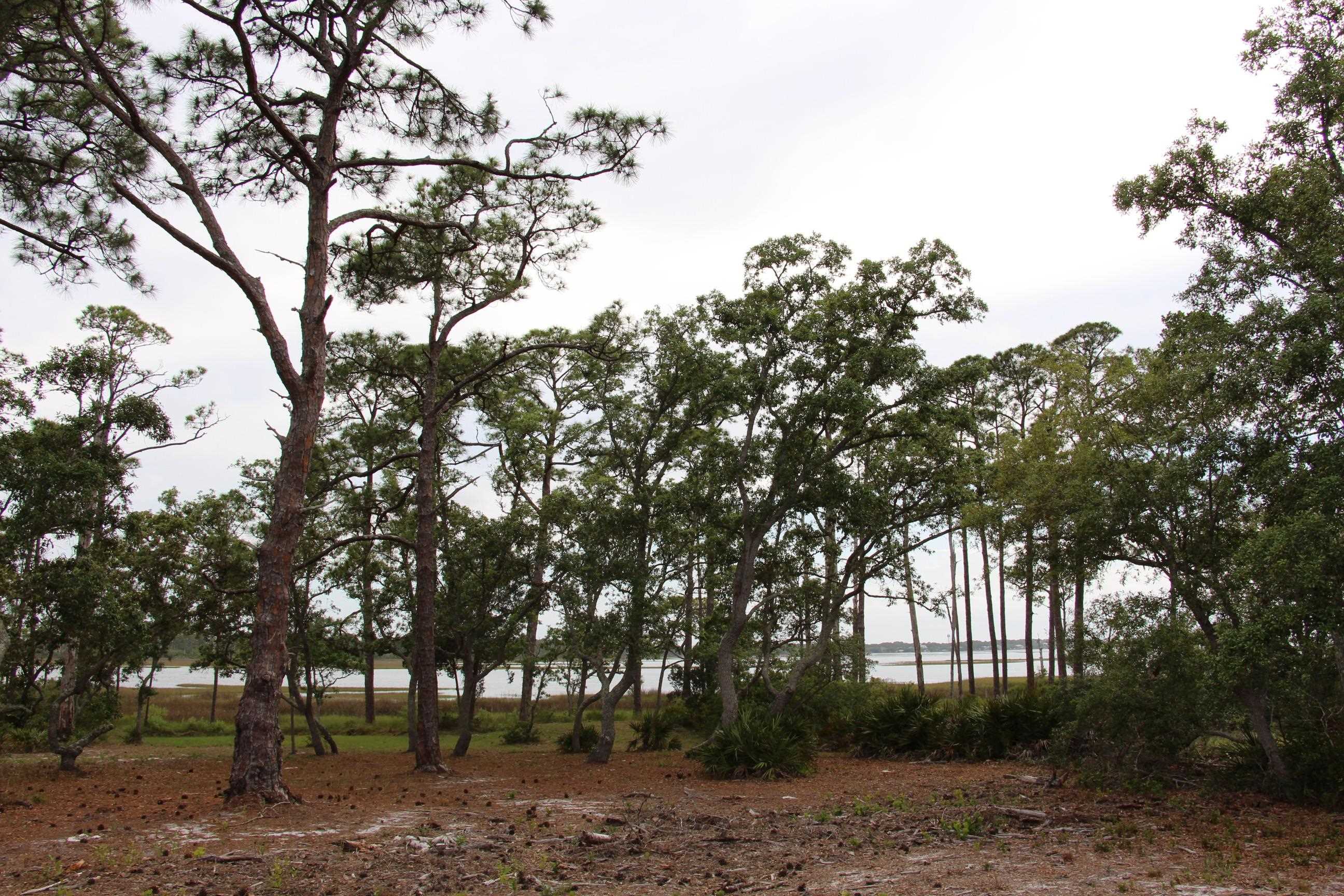 794 Alliagtor Drive, Alligator Point, Texas image 13