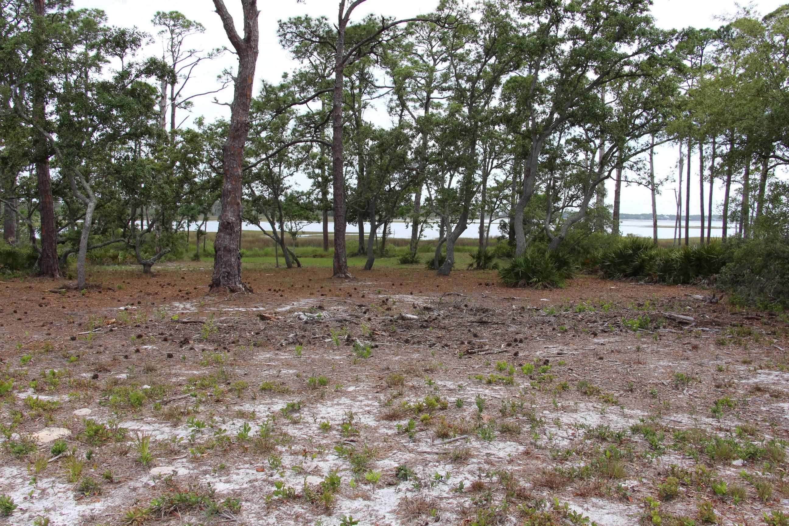794 Alliagtor Drive, Alligator Point, Texas image 14