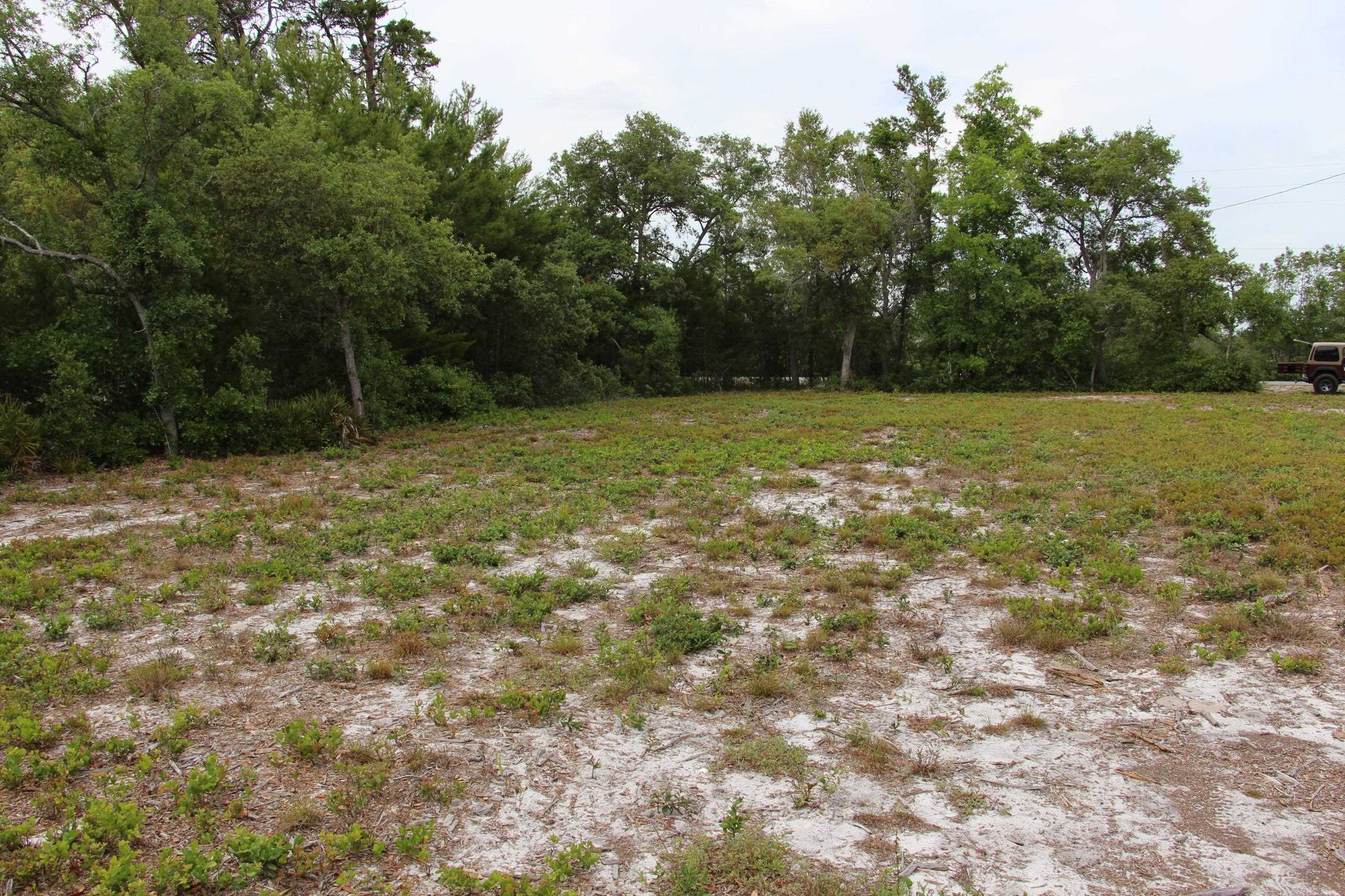 794 Alliagtor Drive, Alligator Point, Texas image 15