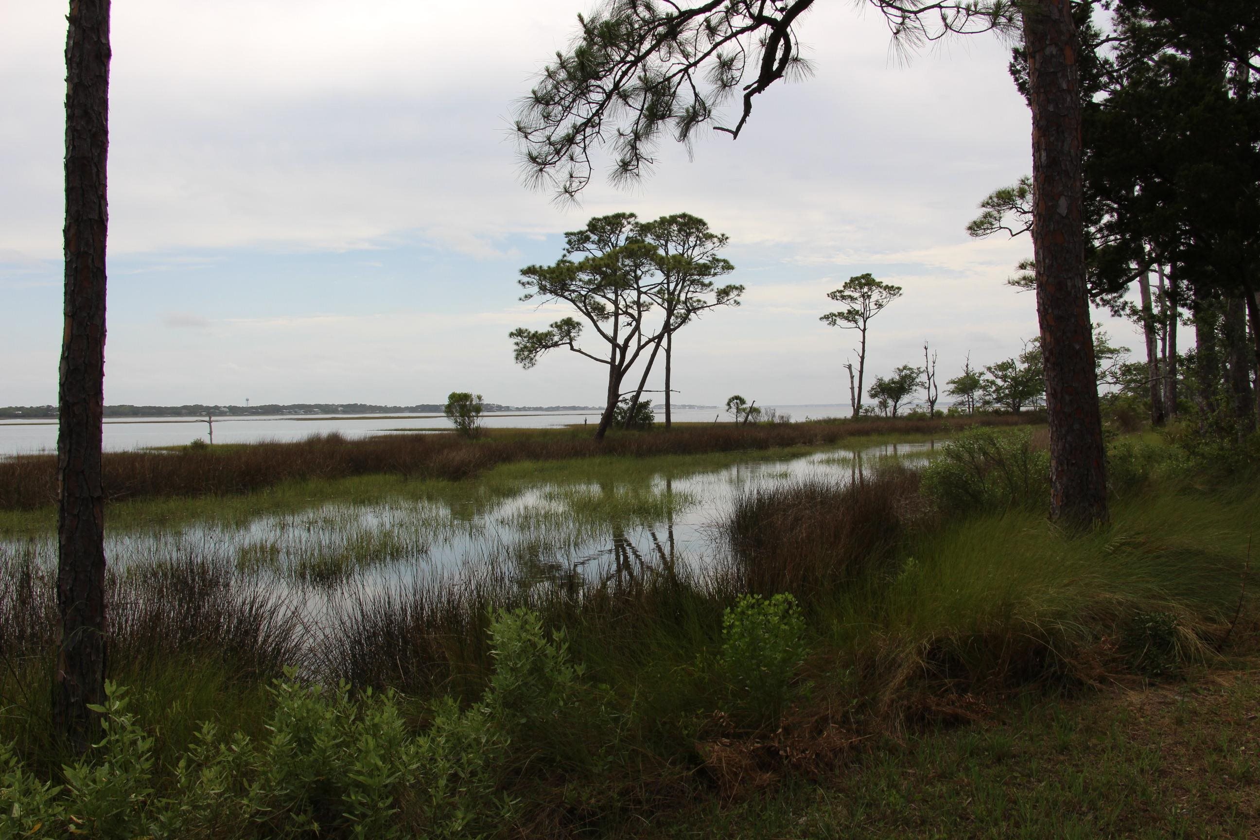 794 Alliagtor Drive, Alligator Point, Texas image 2