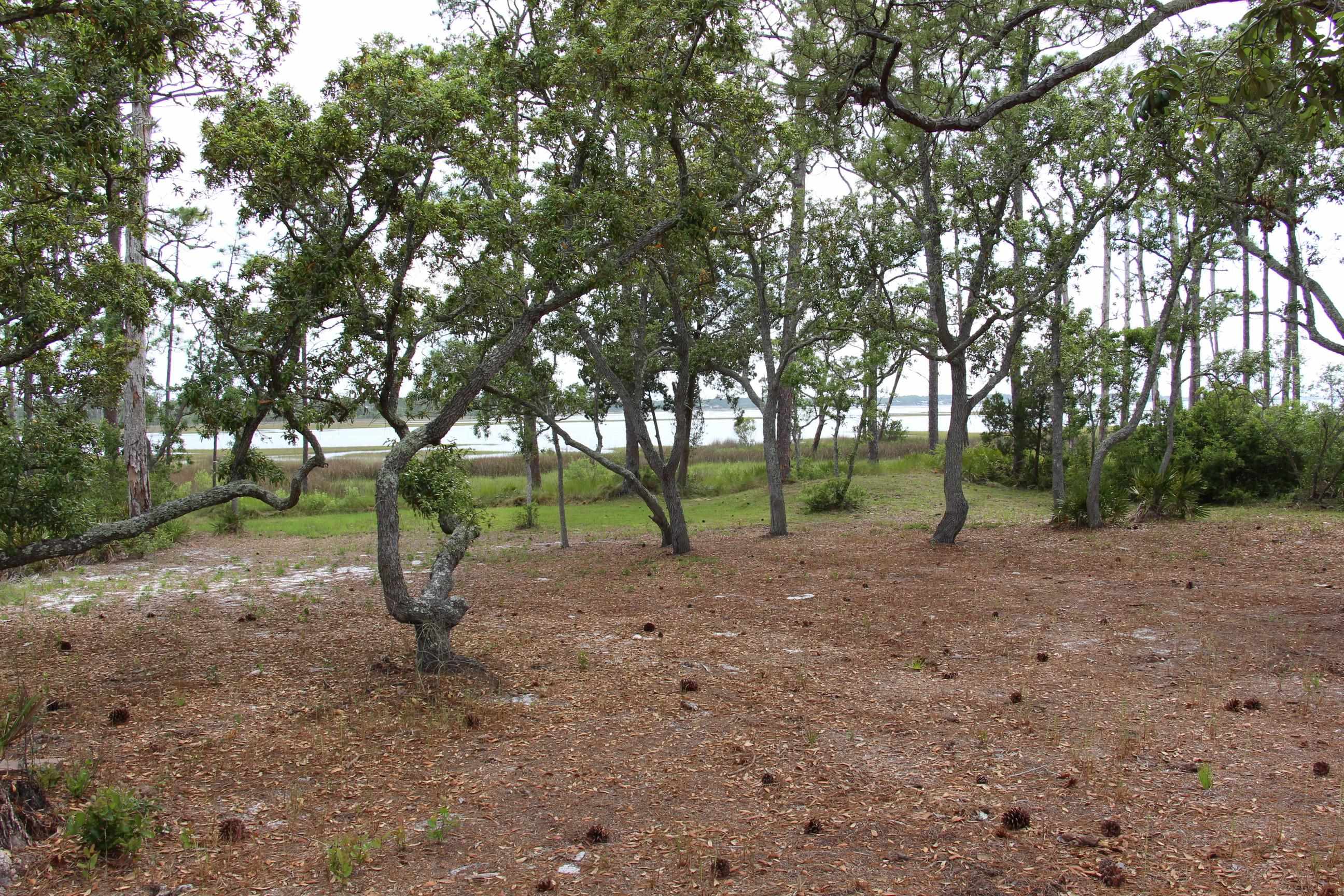 794 Alliagtor Drive, Alligator Point, Texas image 5