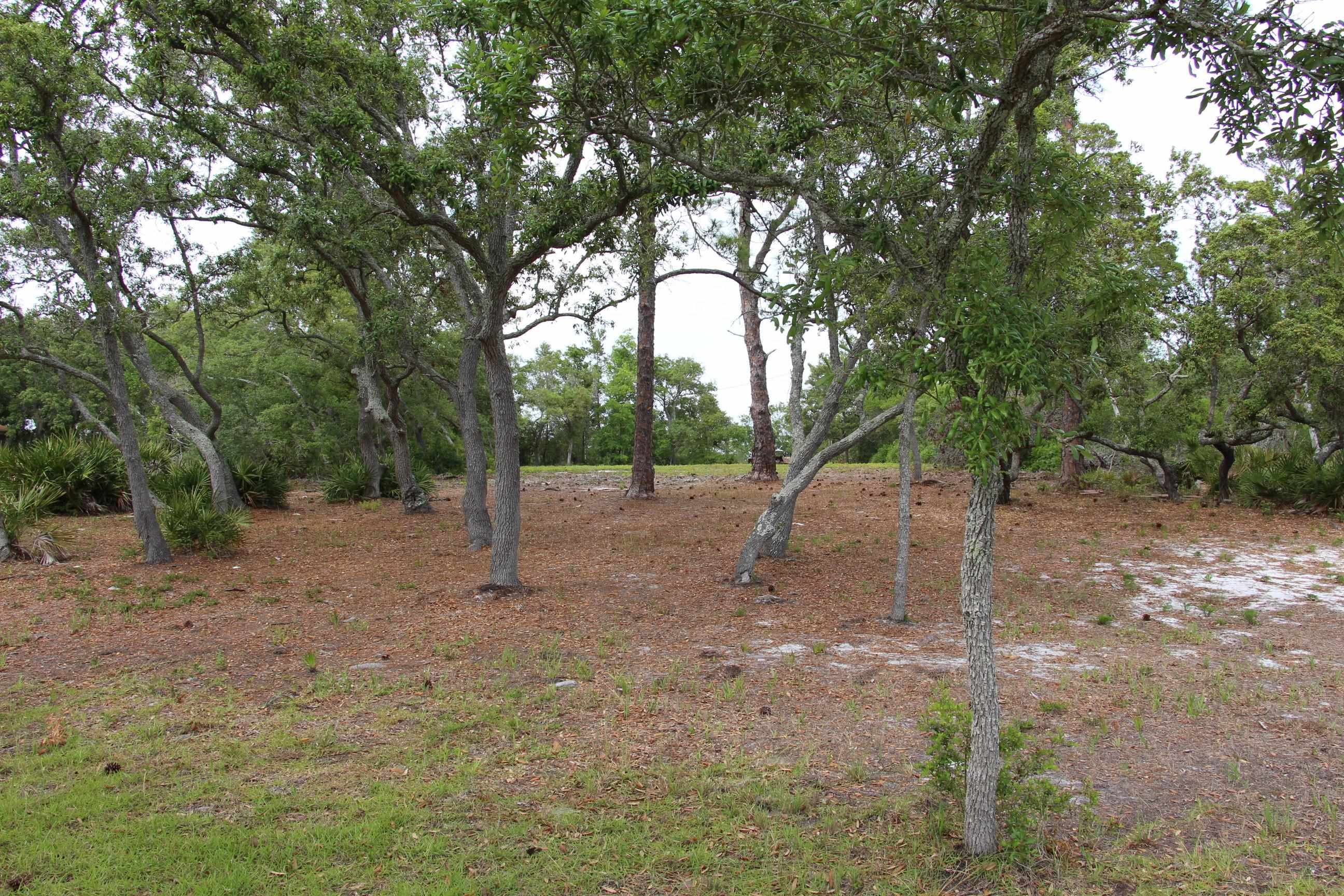 794 Alliagtor Drive, Alligator Point, Texas image 7