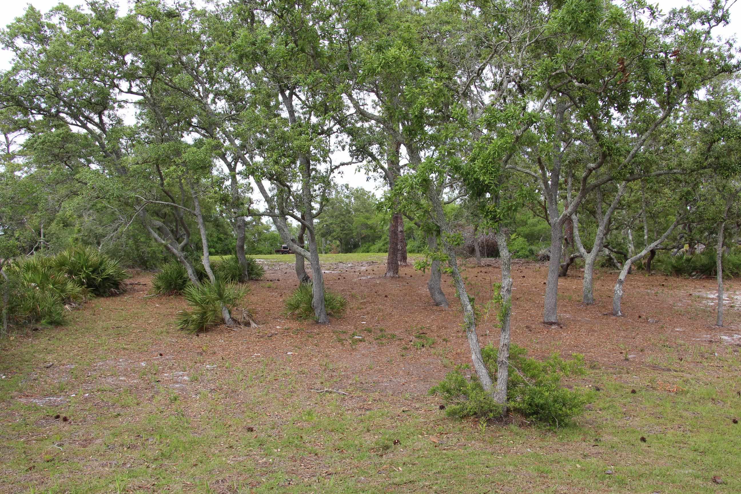 794 Alliagtor Drive, Alligator Point, Texas image 8