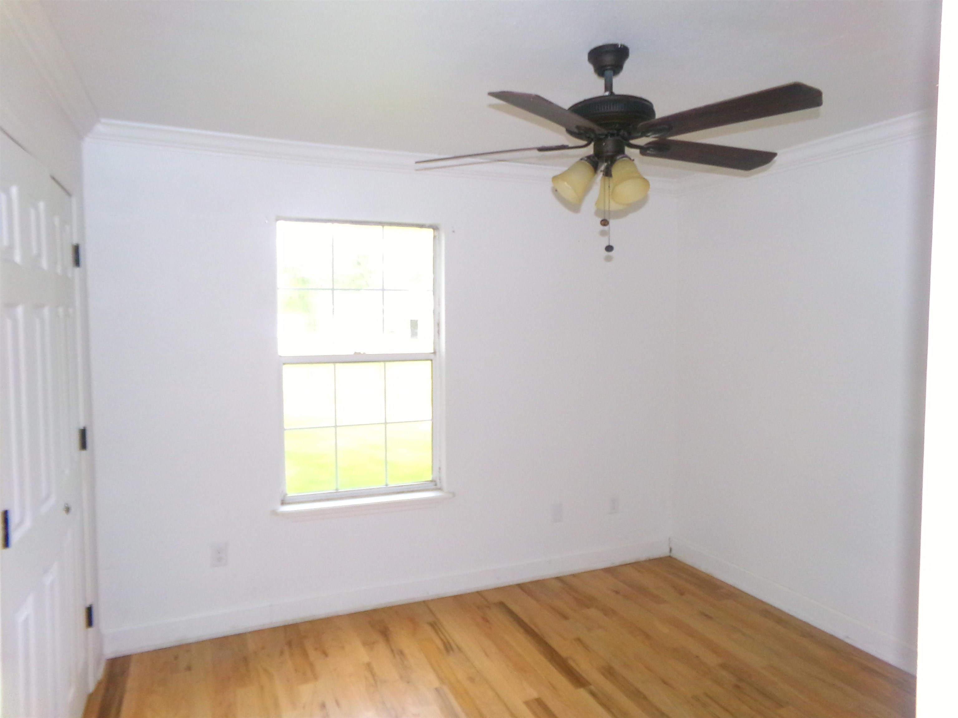 53 Greenleaf Lane, Crawfordville, Florida image 20