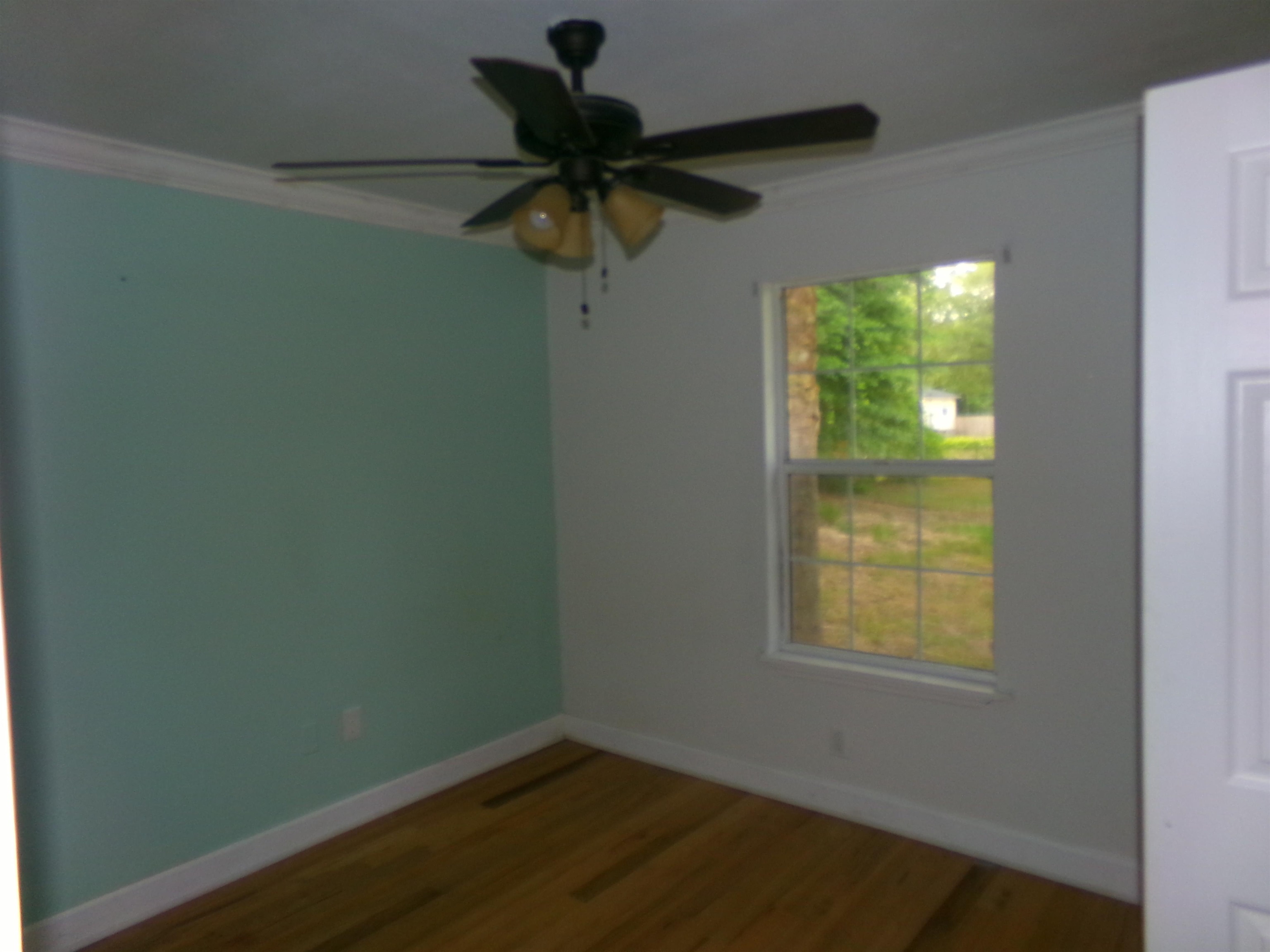 53 Greenleaf Lane, Crawfordville, Florida image 23