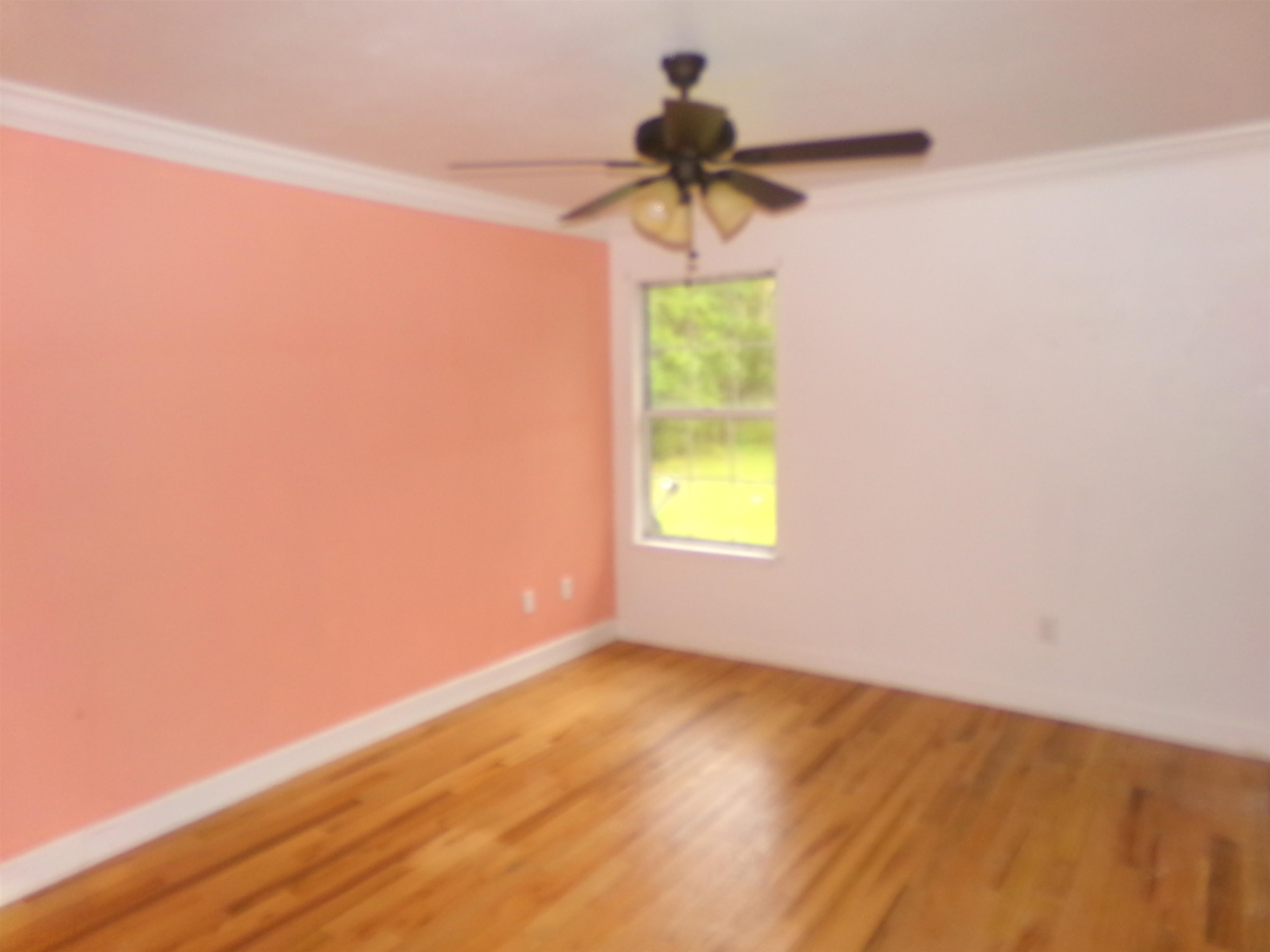 53 Greenleaf Lane, Crawfordville, Florida image 26