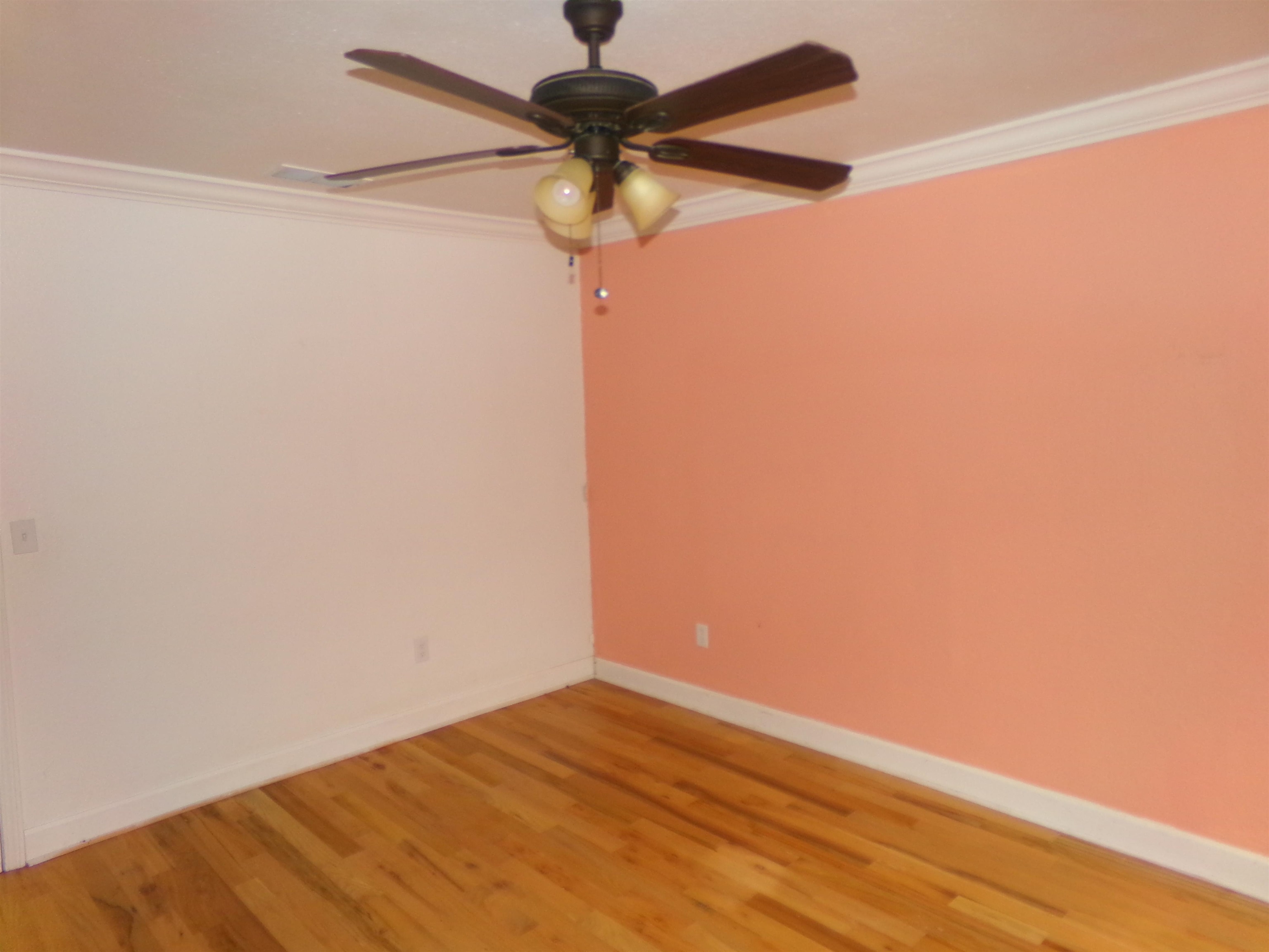 53 Greenleaf Lane, Crawfordville, Florida image 27