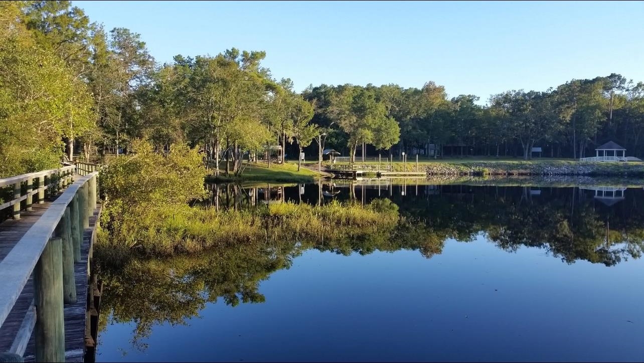 2 Blossom Avenue, Sopchoppy, Texas image 41