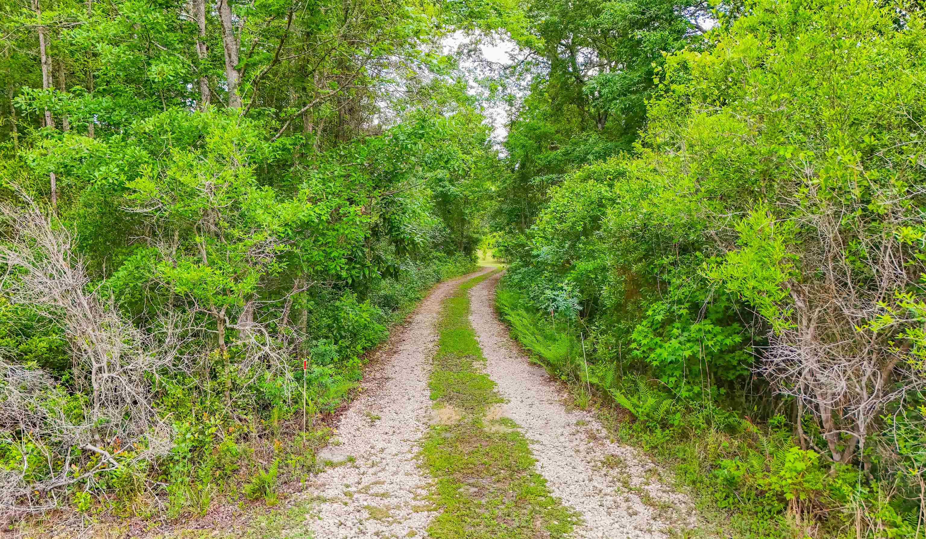 18931 Blountstown Highway, Tallahassee, Texas image 38