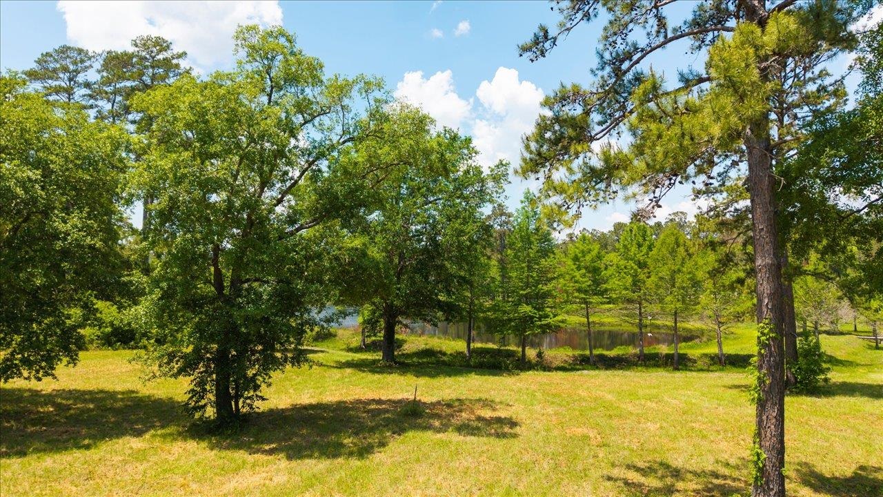 Pine Fair Way, Tallahassee, Florida image 12