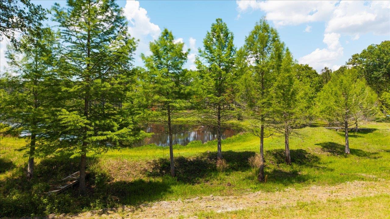 Pine Fair Way, Tallahassee, Florida image 15