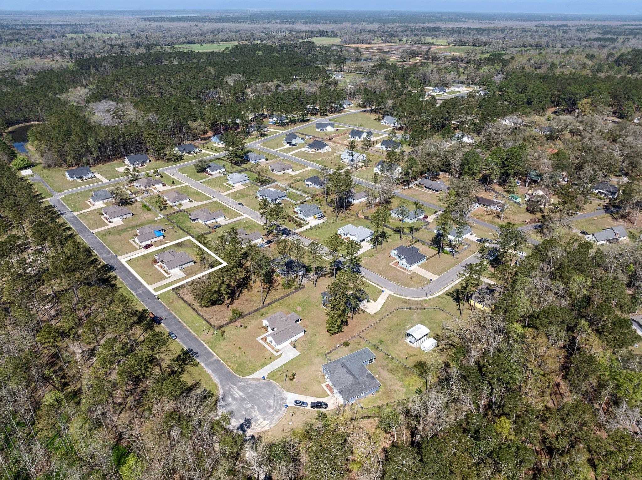 1600 Sweetbay Court, Monticello, Florida image 11